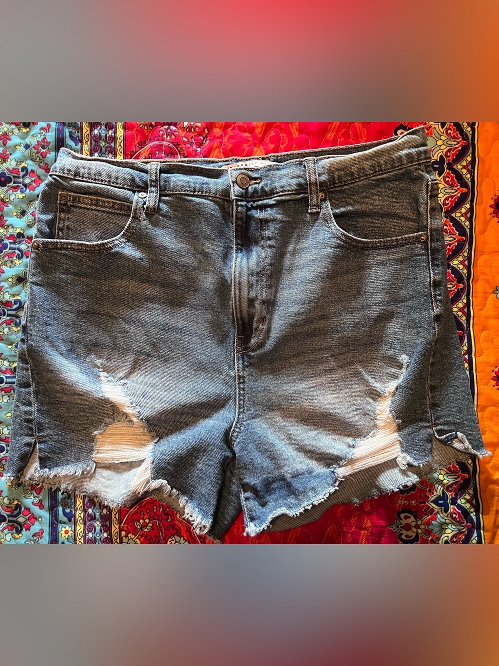 Celebrity Pink High Rise Distressed Medium Wash Denim Shorts—Size 15/32